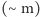 (∼ m) 