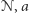 𝒩, a