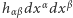 hαβdx αdx β 