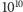1010 