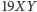 19XY 