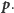 |p. 