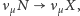 νµN νµX, 