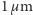 1 µm 