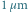 1µm 