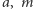 |a, m 