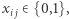 xi j∈ {0,1}, 