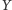 Y 