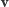 |v 
