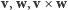|v,w,v ×w 