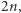 2n,