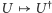U 