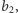 b2,