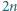 2n
