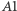 | A1 