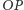 OP |