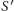 |S′