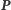 P | 