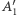 A1 