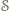𝒮 