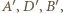 ′A,D′ ,B′, 