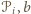 𝒫i,b 