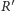 R ′ 