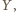 Y ,
