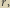 r,