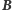 B 