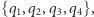 {q ,q ,q ,q }, 1 2 3 4 