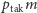 |ptakm 