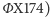  X174) Φ 